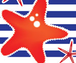 Sea stars vector card design